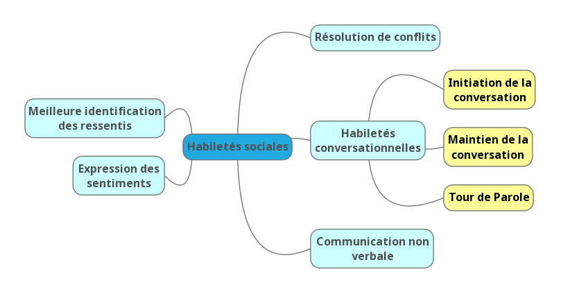 Cartographier l'autisme en schémas pour mieux l'accompagner : - Aspieconseil